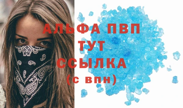 эйфоретик Белокуриха